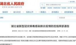 湖北网友爆料新闻报道内容