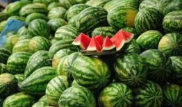 在哪里可以吃免费的瓜,揭秘全国瓜果免费品尝地